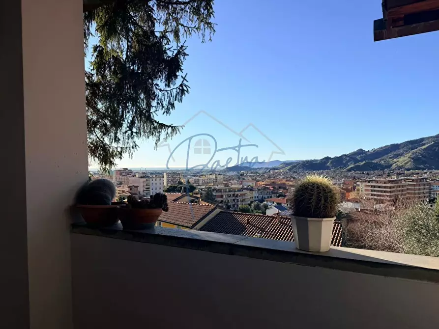 Immagine 29 di Villa in vendita  a Massa