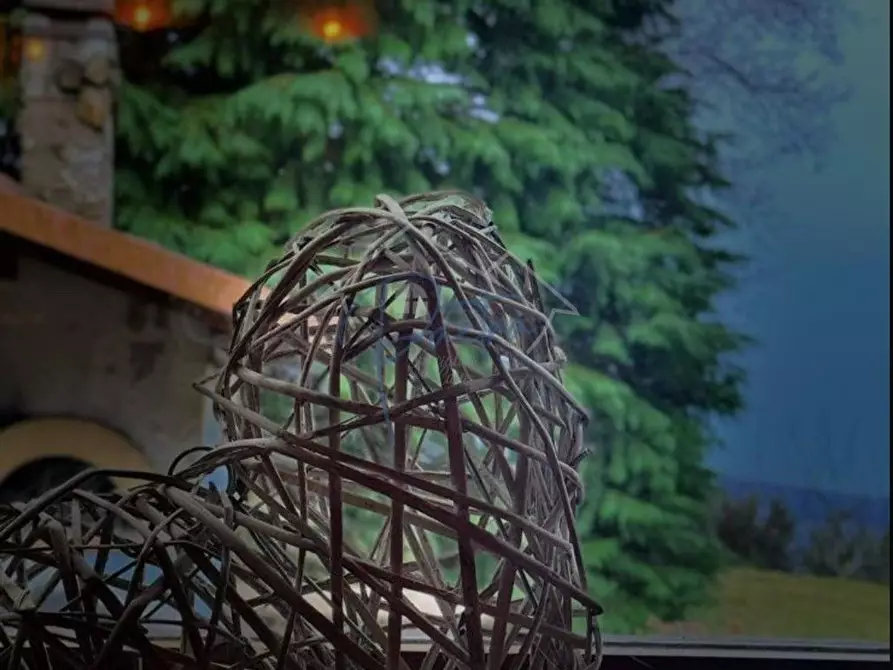 Immagine 16 di Casa indipendente in vendita  a Montignoso