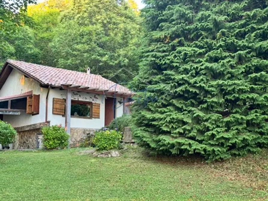 Immagine 11 di Casa indipendente in vendita  a Montignoso