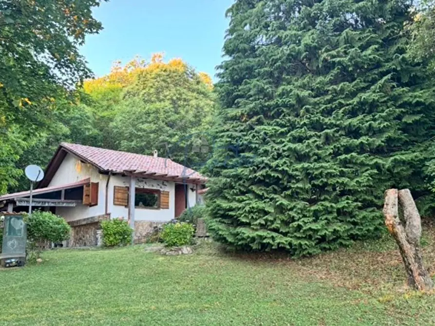 Immagine 12 di Casa indipendente in vendita  a Montignoso