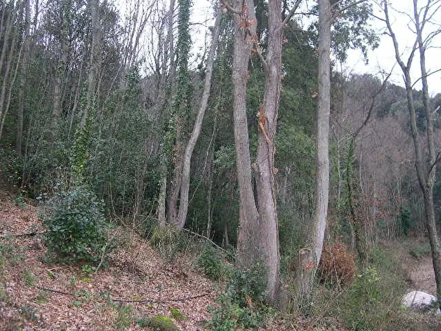 Immagine 9 di Casa indipendente in vendita  a Montecatini Val Di Cecina