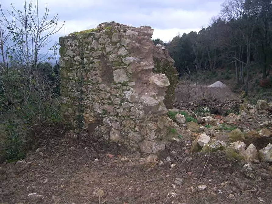 Immagine 3 di Casa indipendente in vendita  a Montecatini Val Di Cecina