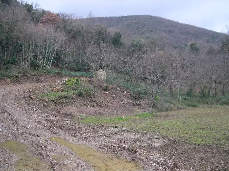 Immagine 11 di Casa indipendente in vendita  a Montecatini Val Di Cecina
