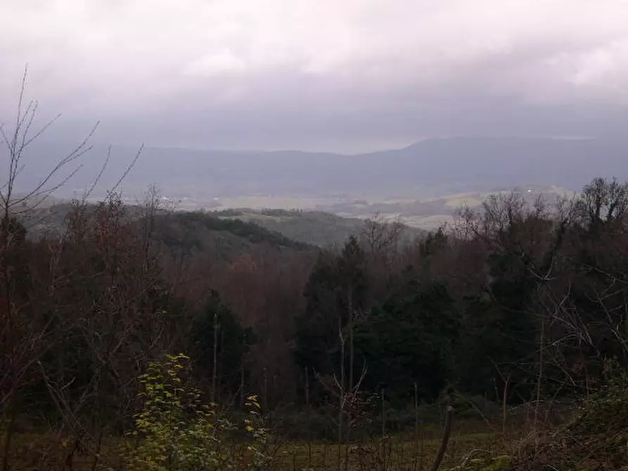 Immagine 13 di Casa indipendente in vendita  a Montecatini Val Di Cecina