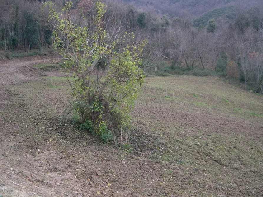 Immagine 5 di Casa indipendente in vendita  a Montecatini Val Di Cecina