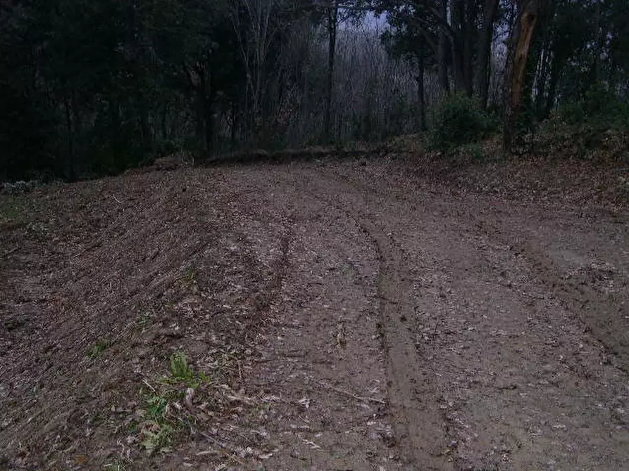 Immagine 7 di Casa indipendente in vendita  a Montecatini Val Di Cecina