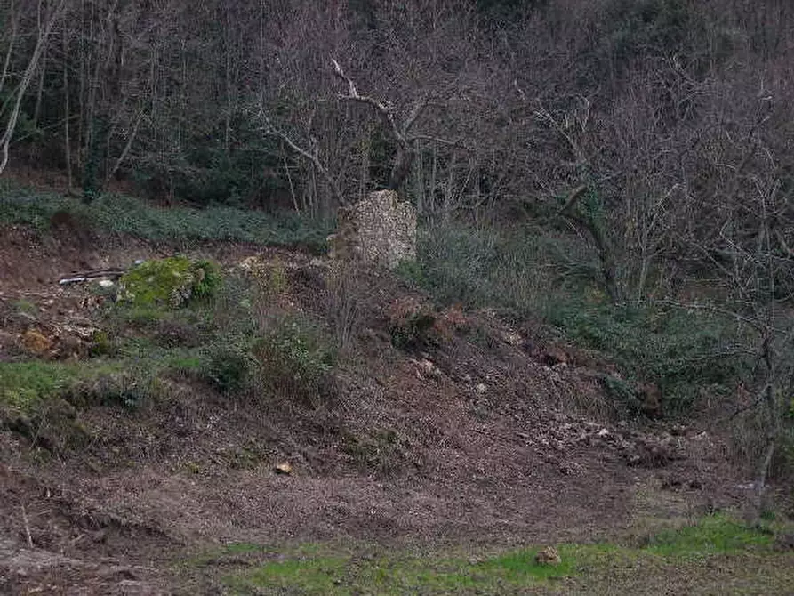 Immagine 10 di Casa indipendente in vendita  a Montecatini Val Di Cecina