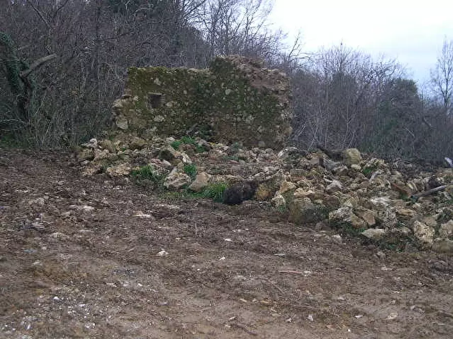 Immagine 12 di Casa indipendente in vendita  a Montecatini Val Di Cecina