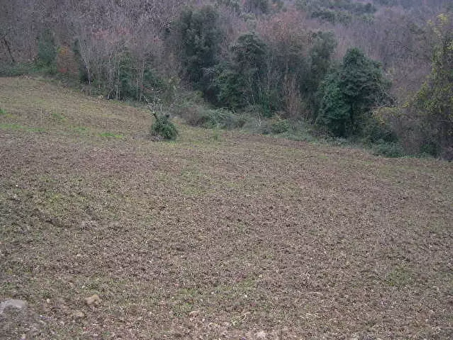 Immagine 6 di Casa indipendente in vendita  a Montecatini Val Di Cecina