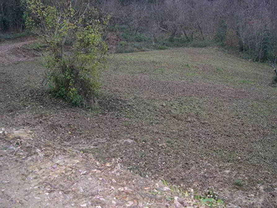 Immagine 8 di Casa indipendente in vendita  a Montecatini Val Di Cecina