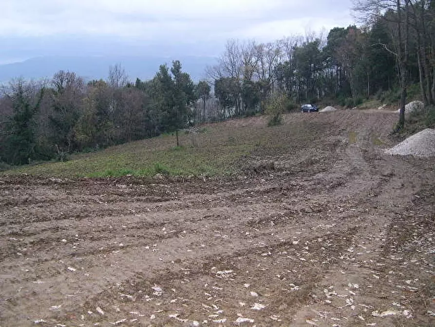 Immagine 4 di Casa indipendente in vendita  a Montecatini Val Di Cecina