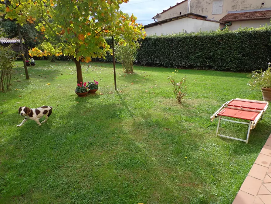 Immagine 30 di Rustico / casale in vendita  a Vecchiano