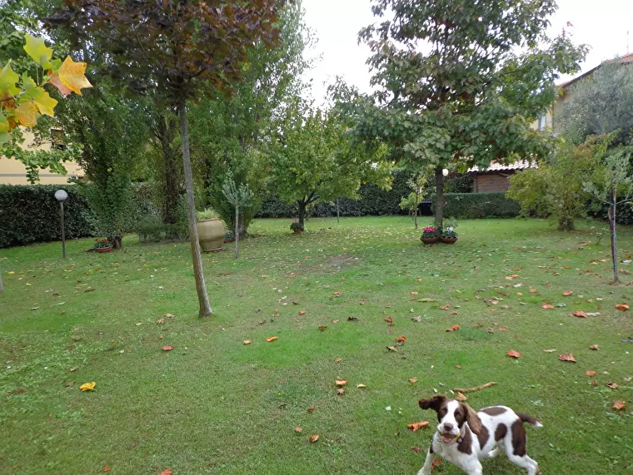 Immagine 35 di Rustico / casale in vendita  a Vecchiano
