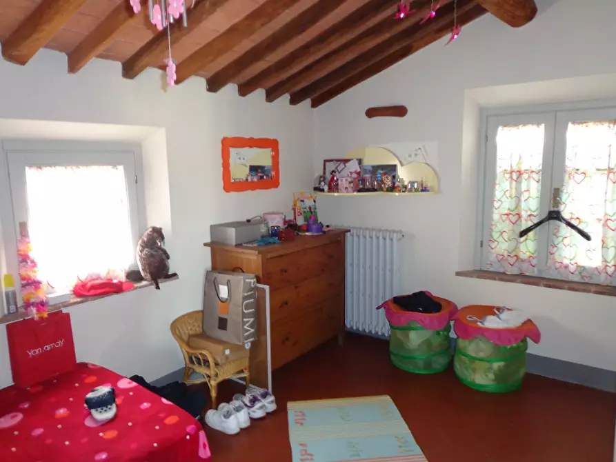 Immagine 24 di Rustico / casale in vendita  a Vecchiano