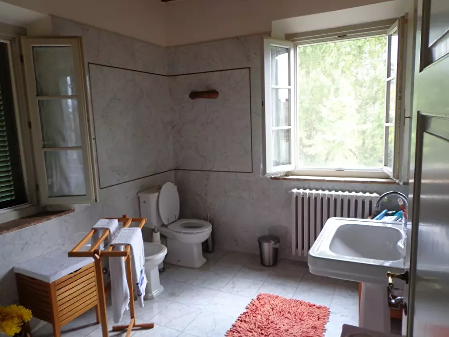 Immagine 17 di Rustico / casale in vendita  a Vecchiano