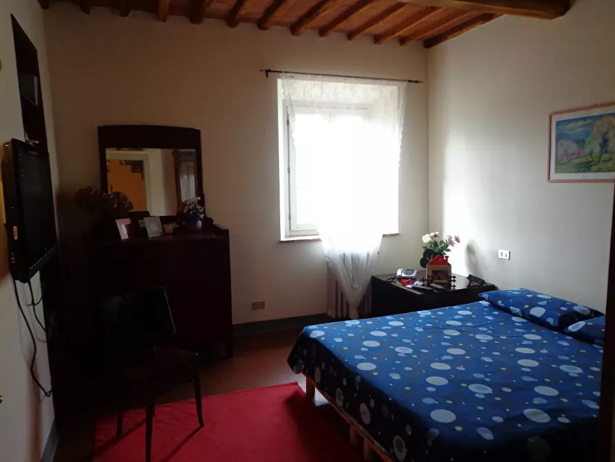 Immagine 14 di Rustico / casale in vendita  a Vecchiano