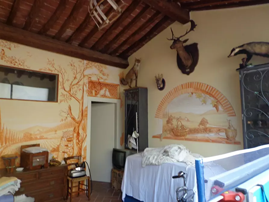 Immagine 33 di Rustico / casale in vendita  a Vecchiano