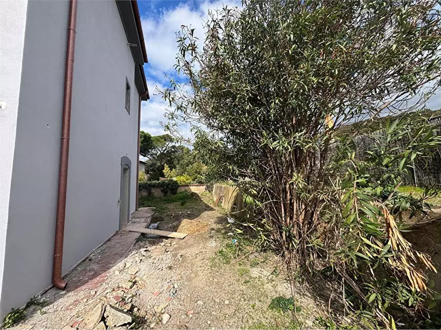 Immagine 25 di Casa semindipendente in vendita  a Rosignano Marittimo