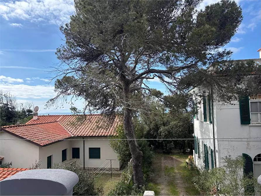 Immagine 2 di Casa semindipendente in vendita  a Rosignano Marittimo