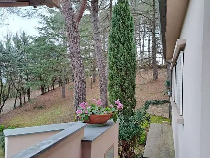 Immagine 6 di Villa in vendita  a Chianni