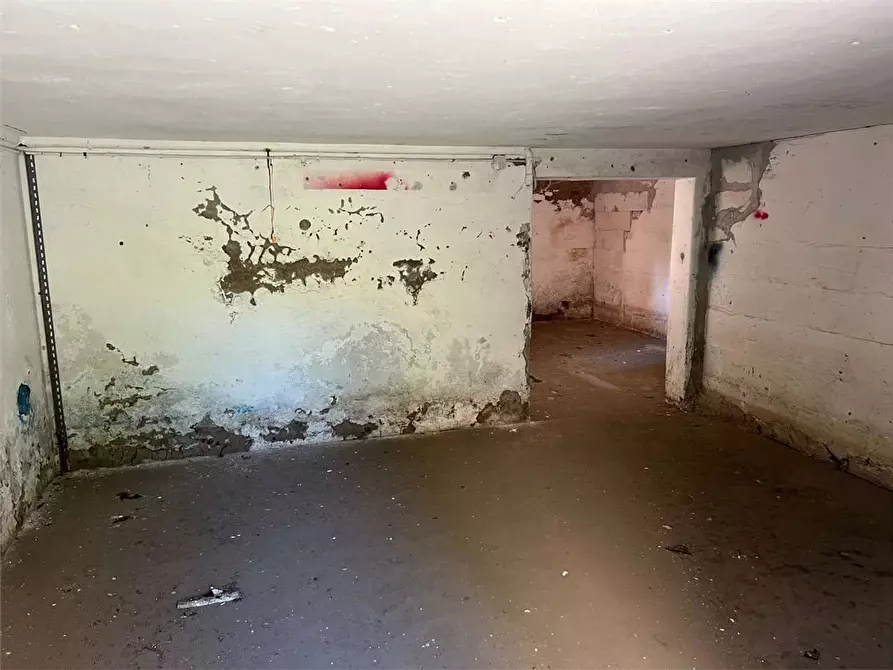 Immagine 3 di Magazzino in vendita  a Livorno