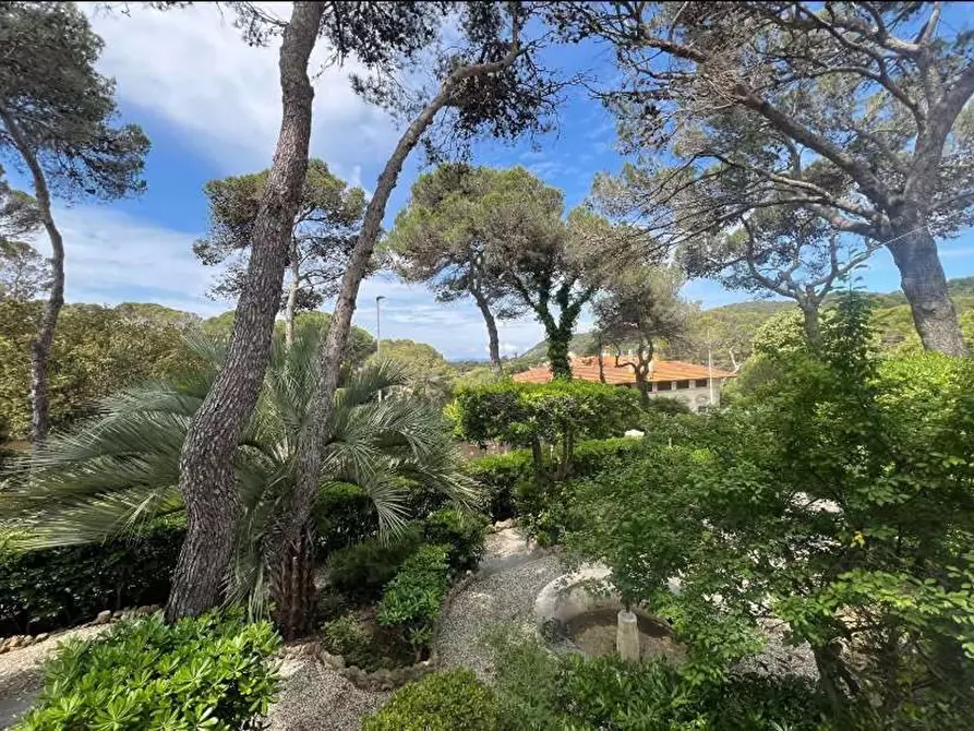 Immagine 12 di Villa in vendita  a Livorno
