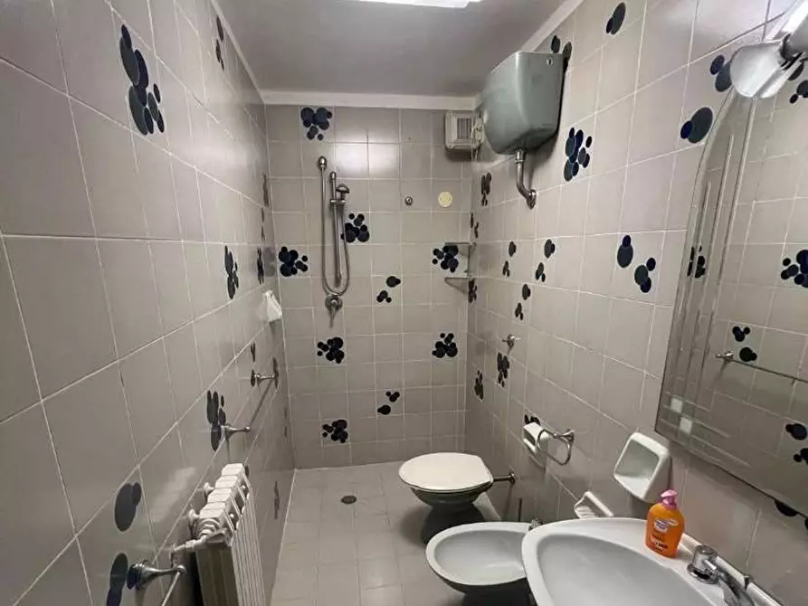 Immagine 16 di Villa in vendita  a Livorno