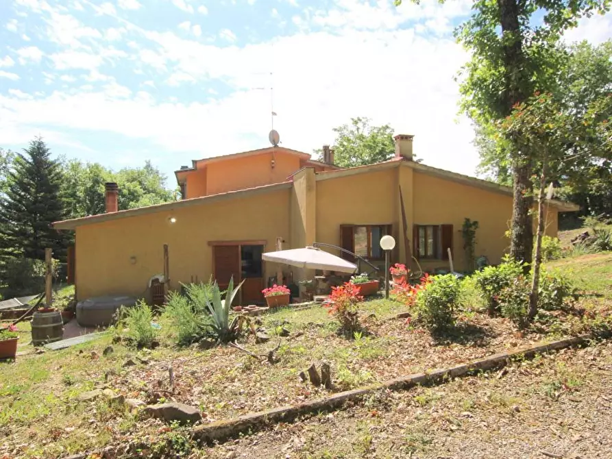 Immagine 5 di Terratetto in vendita  a Castelnuovo Berardenga