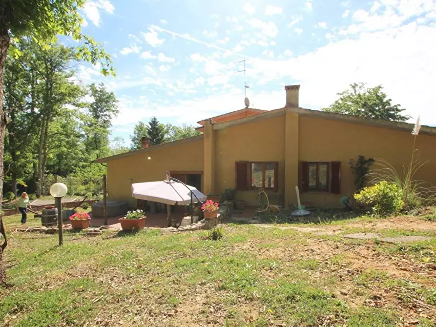 Immagine 6 di Terratetto in vendita  a Castelnuovo Berardenga