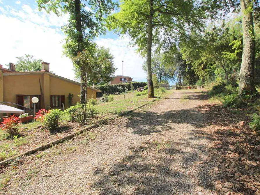 Immagine 4 di Terratetto in vendita  a Castelnuovo Berardenga