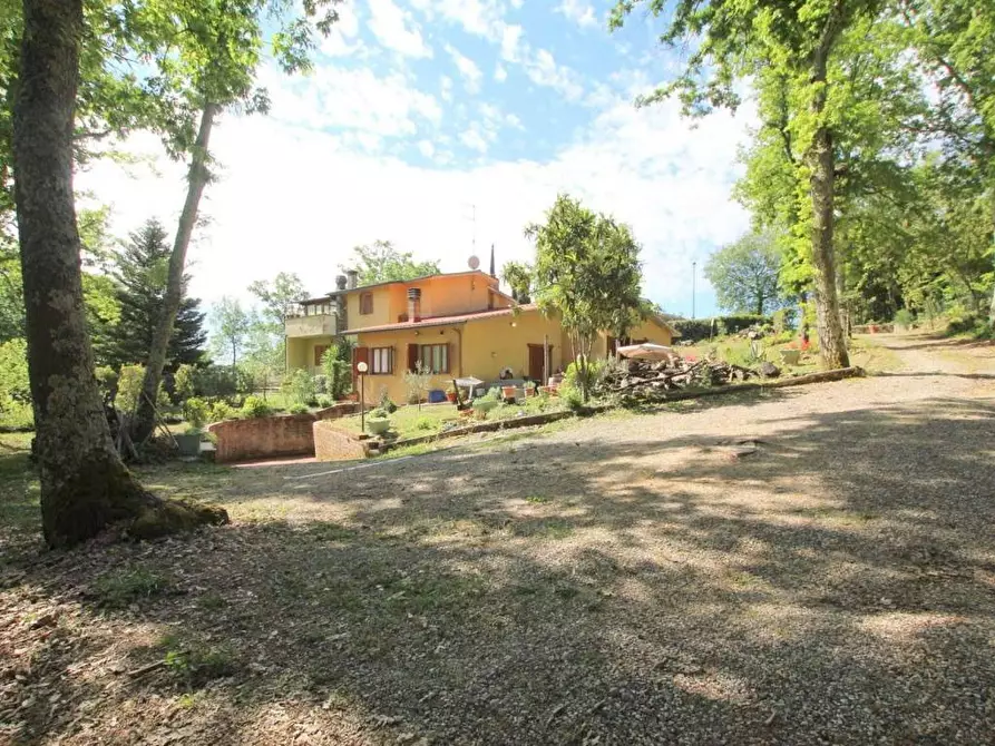 Immagine 3 di Terratetto in vendita  a Castelnuovo Berardenga