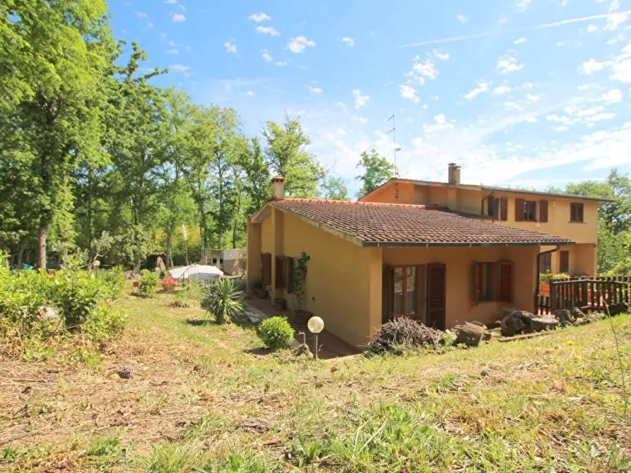 Immagine 9 di Terratetto in vendita  a Castelnuovo Berardenga