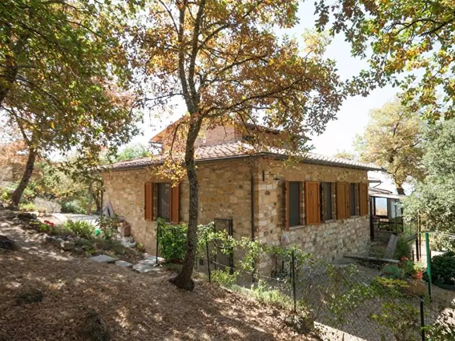 Immagine 5 di Villa in vendita  a Radda In Chianti