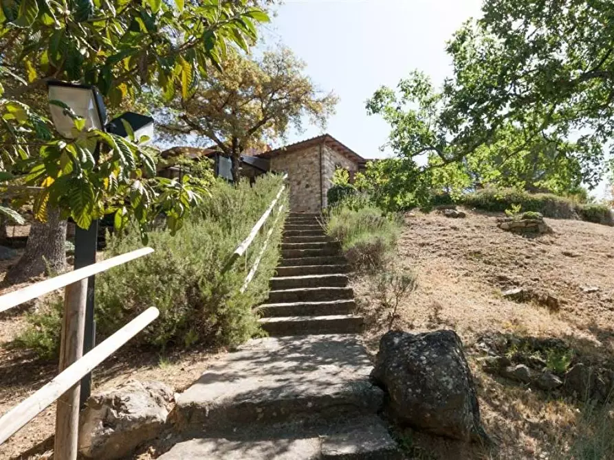 Immagine 6 di Villa in vendita  a Radda In Chianti