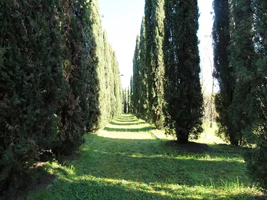 Immagine 32 di Rustico / casale in vendita  a Siena