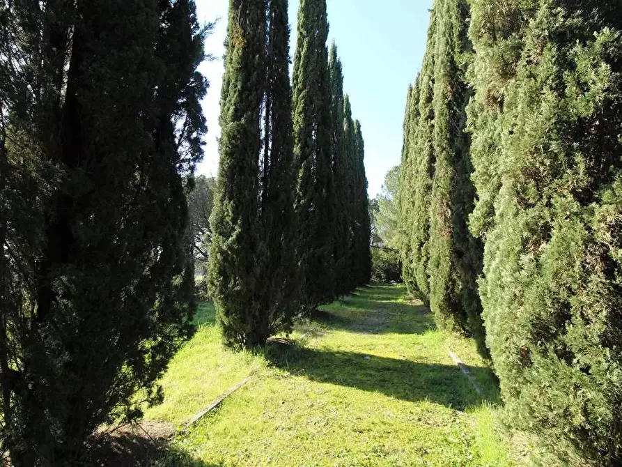 Immagine 31 di Rustico / casale in vendita  a Siena