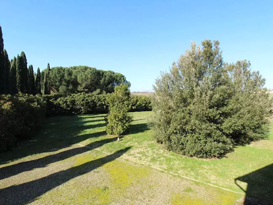 Immagine 28 di Rustico / casale in vendita  a Siena