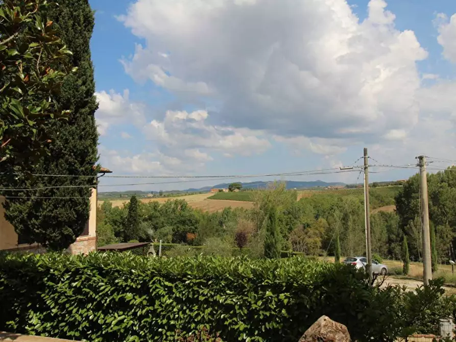 Immagine 17 di Casa colonica in vendita  a Castelnuovo Berardenga