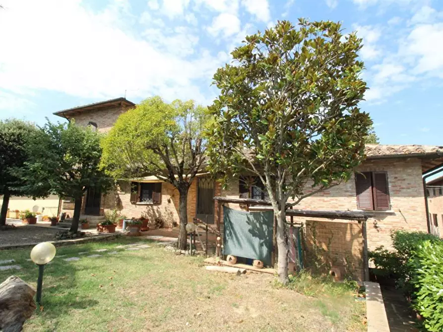 Immagine 13 di Casa colonica in vendita  a Castelnuovo Berardenga