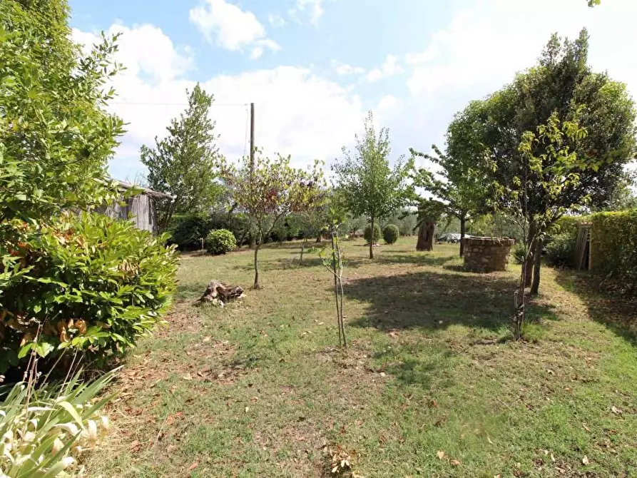 Immagine 20 di Casa colonica in vendita  a Castelnuovo Berardenga
