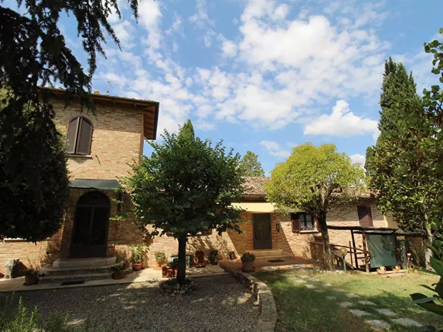 Immagine 12 di Casa colonica in vendita  a Castelnuovo Berardenga