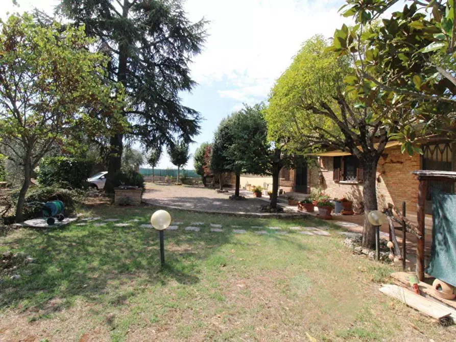 Immagine 15 di Casa colonica in vendita  a Castelnuovo Berardenga