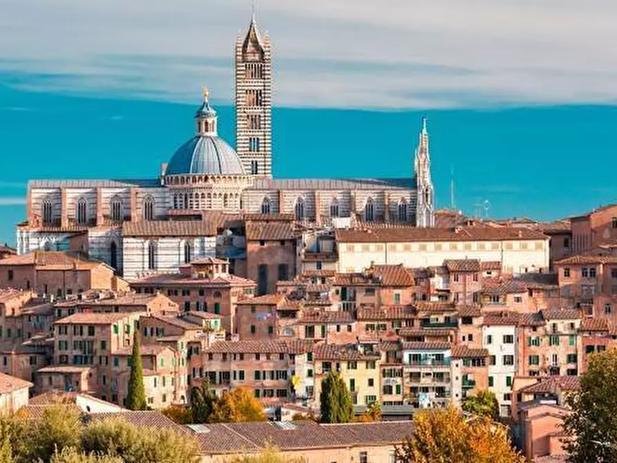 Immagine 1 di Locale commerciale in vendita  a Siena