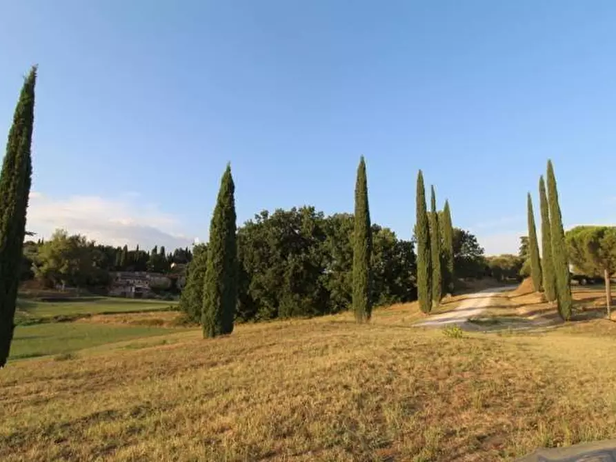 Immagine 21 di Casa colonica in vendita  a Siena