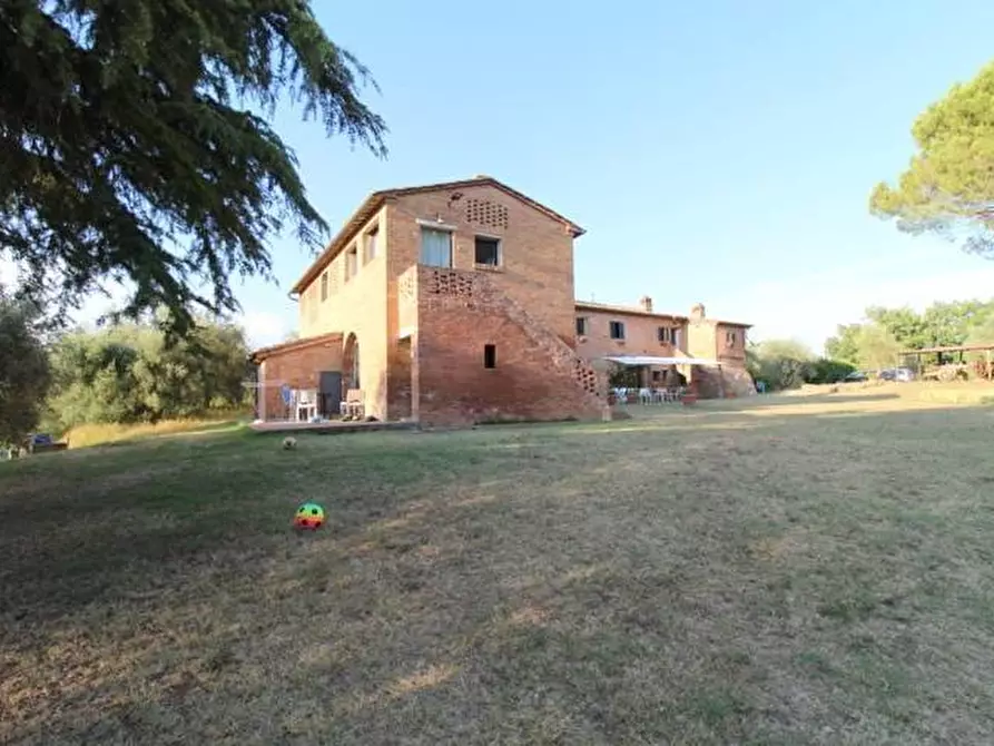 Immagine 4 di Casa colonica in vendita  a Siena