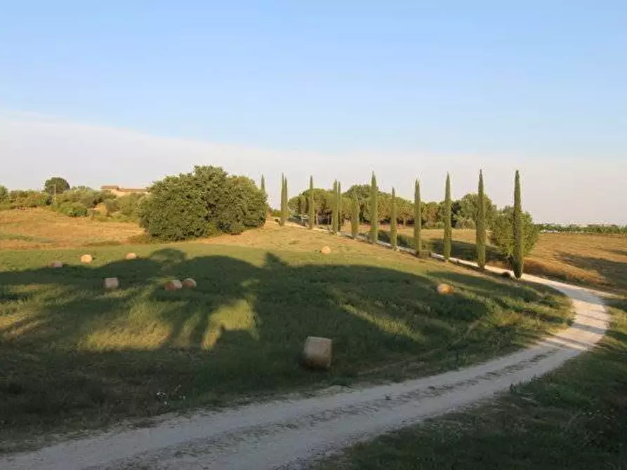 Immagine 23 di Casa colonica in vendita  a Siena
