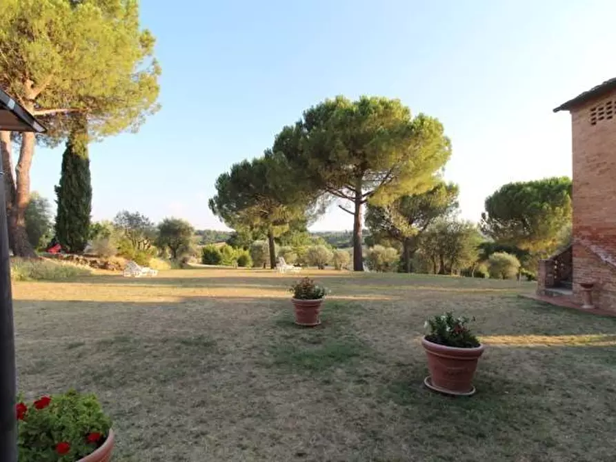 Immagine 10 di Casa colonica in vendita  a Siena