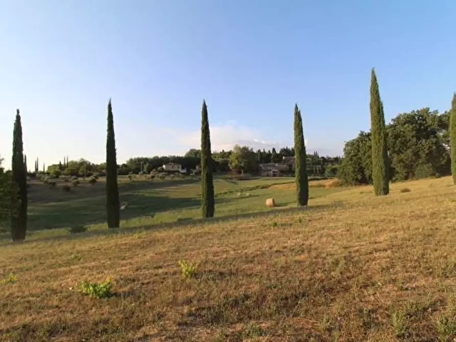 Immagine 19 di Casa colonica in vendita  a Siena