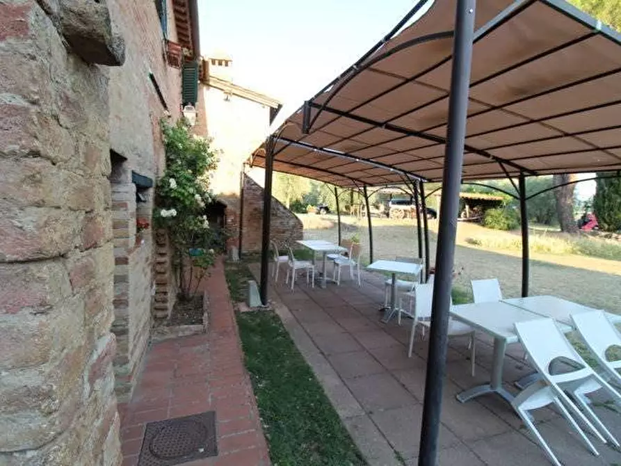 Immagine 14 di Casa colonica in vendita  a Siena