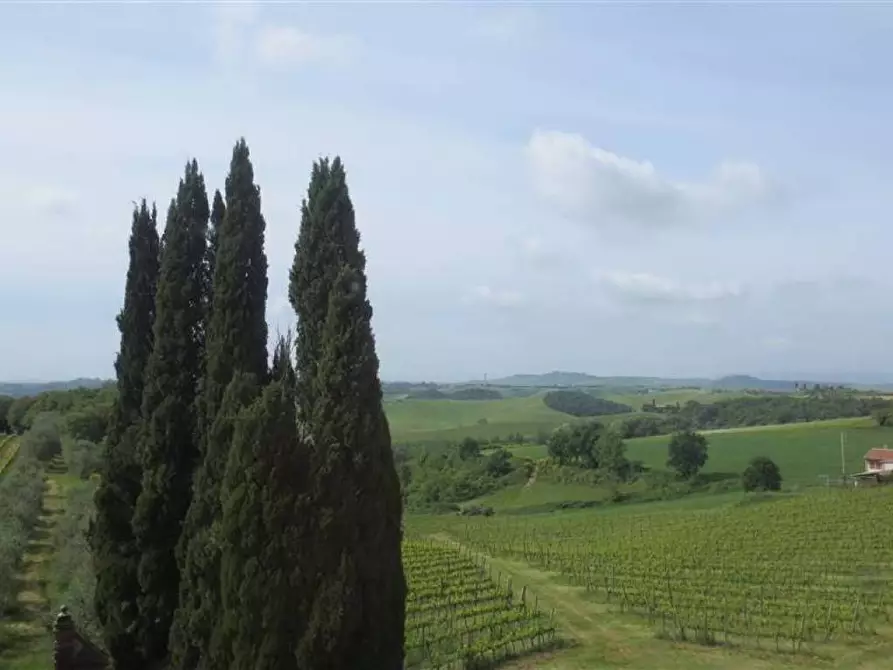 Immagine 4 di Villa in vendita  a Castelnuovo Berardenga